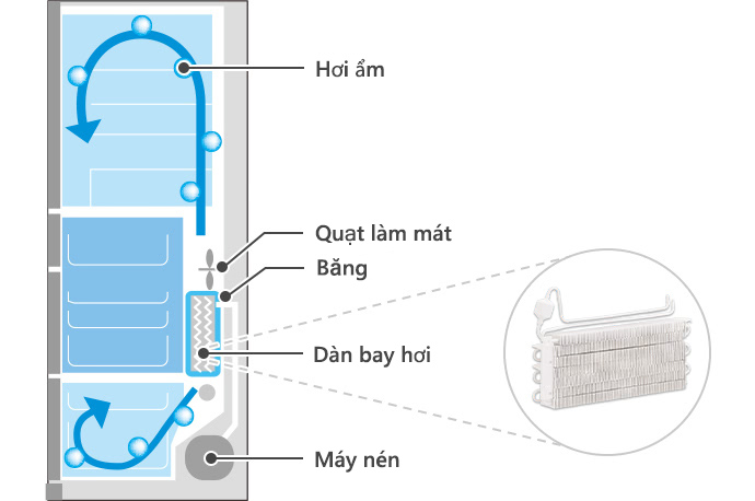 Tủ Lạnh Hitachi Inverter 540 Lít R-HW540RV (XK)