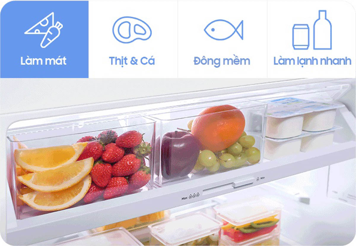Tủ lạnh Samsung 305L RT31CG5424S9