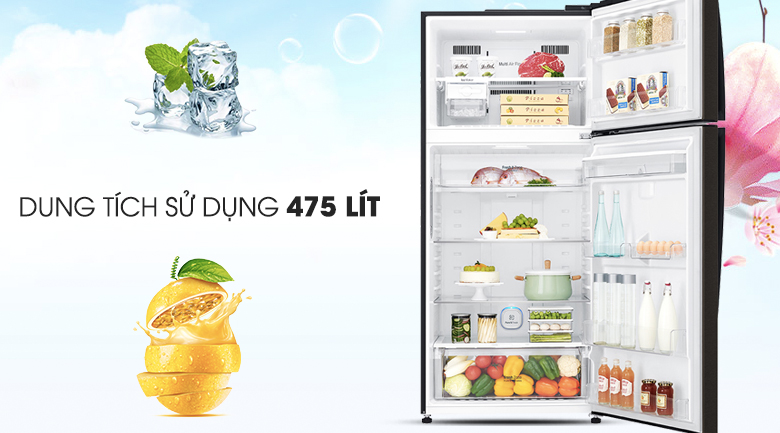 Tủ lạnh LG Inverter 475 lít GN-D602BL - Dung tích