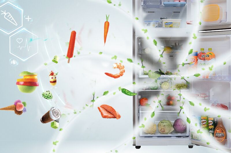 Với bộ lọc được tích hợp trên cánh quạt, tủ lạnh Samsung RT22FARBDSA sẽ thanh trùng và lọc sạch mùi hôi