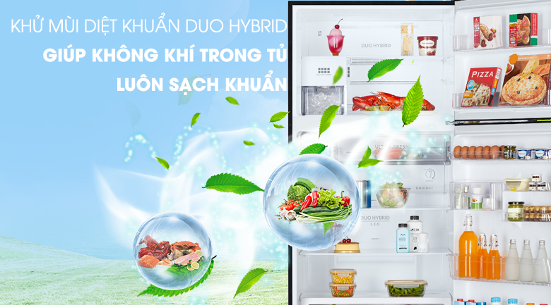 Hệ thống kháng khuẩn khử mùi Duo HyBrid - Tủ lạnh Toshiba Inverter 555 lít GR-AG58VA (X)