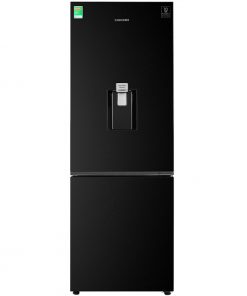 Tu Lanh Samsung Inverter 307 Lit Rb30n4170bu