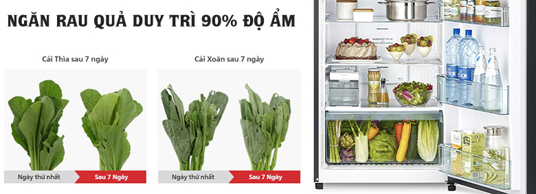Tủ lạnh Hitachi Inverter 406 Lít R-FVY510PGV0 GMG